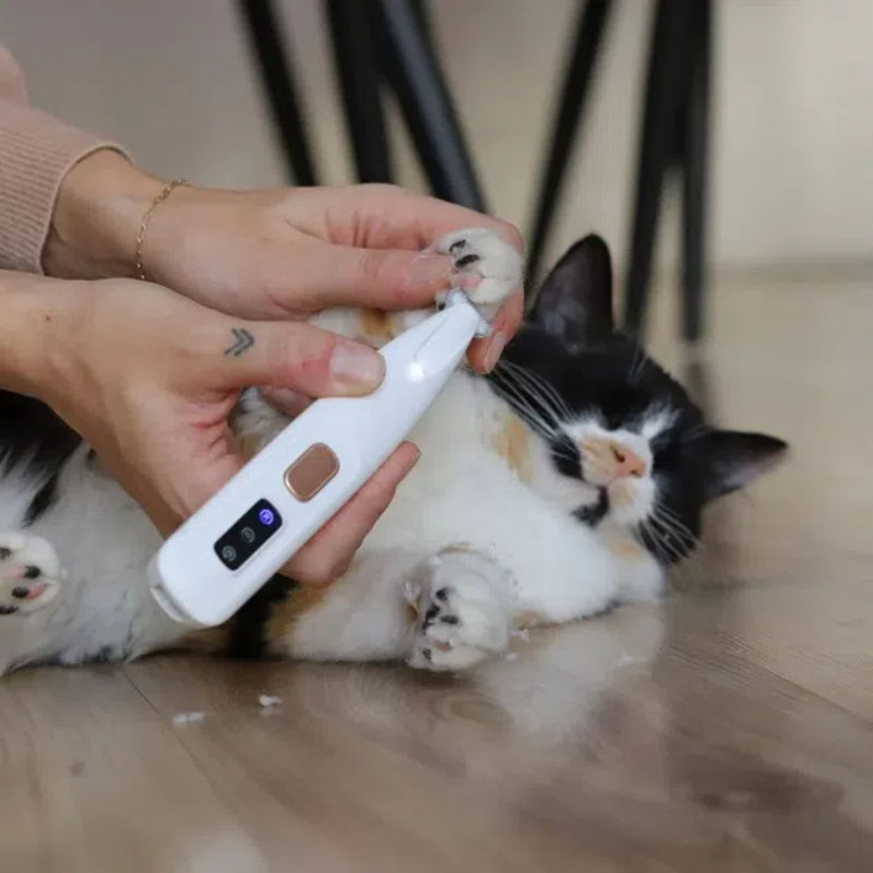 New Pet Paw Trimmer with LED Light Fully Waterproof Pet Hair Trimmer with LED Display Dog Clippers for Grooming