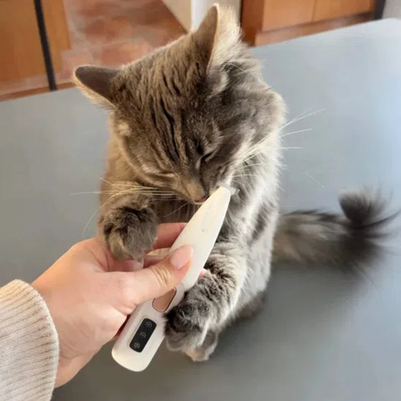 New Pet Paw Trimmer with LED Light Fully Waterproof Pet Hair Trimmer with LED Display Dog Clippers for Grooming