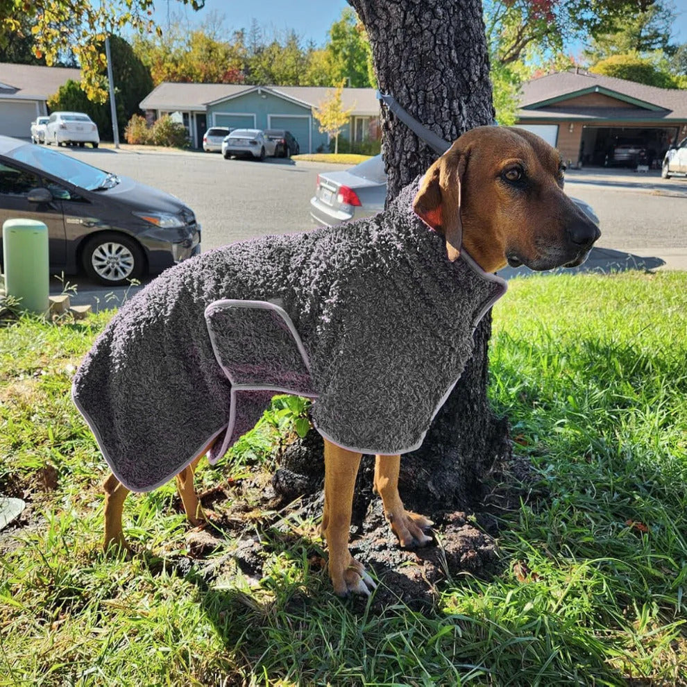 Pawfect Dry Dog Towel