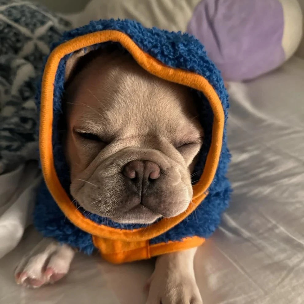 Pawfect Dry Dog Towel