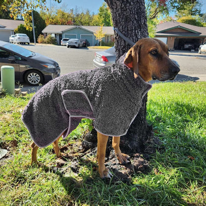 Pawfect Dry Dog Towel